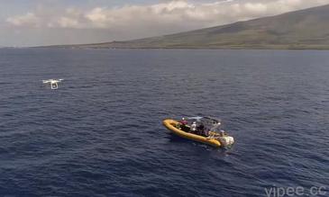 DJI 無人機幫助鯨魚免受海洋垃圾的侵襲