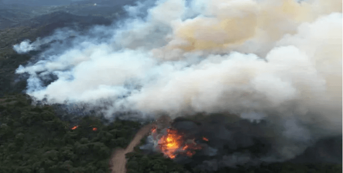山火现场浓烟遮蔽