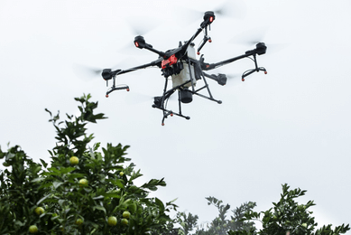 2a2013cca5b792bbae3ad845526c46