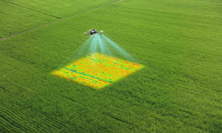 DJI Terra｜Multispectral Reconstruction