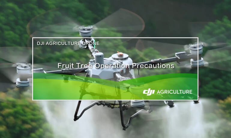 Fruit Tree Operation Precautions