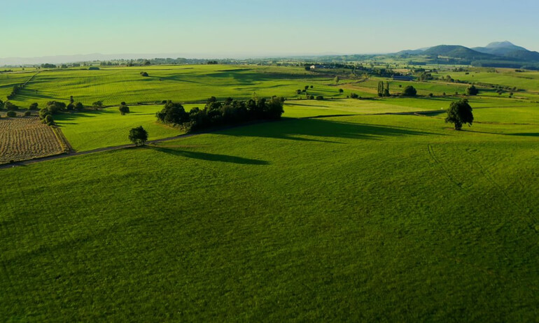 Entorno agrícola para operaciones automáticas DJI Agras T55