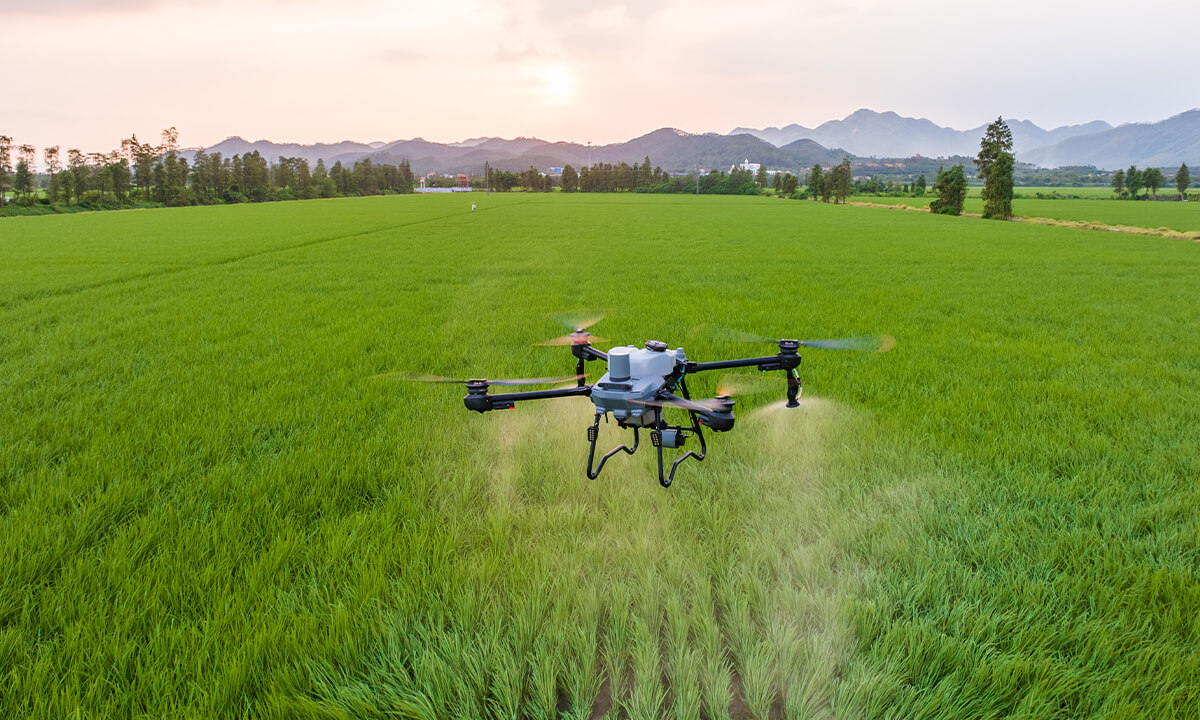 dji agriculture drone T100、T70P、T25P、Agriculture drone