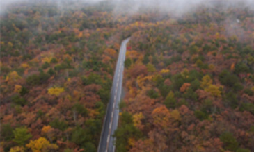 Vorstellung von 意昂体育 Lightbridge