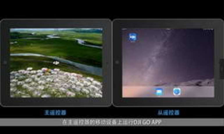 “悟”如何设置悟的主从？仄