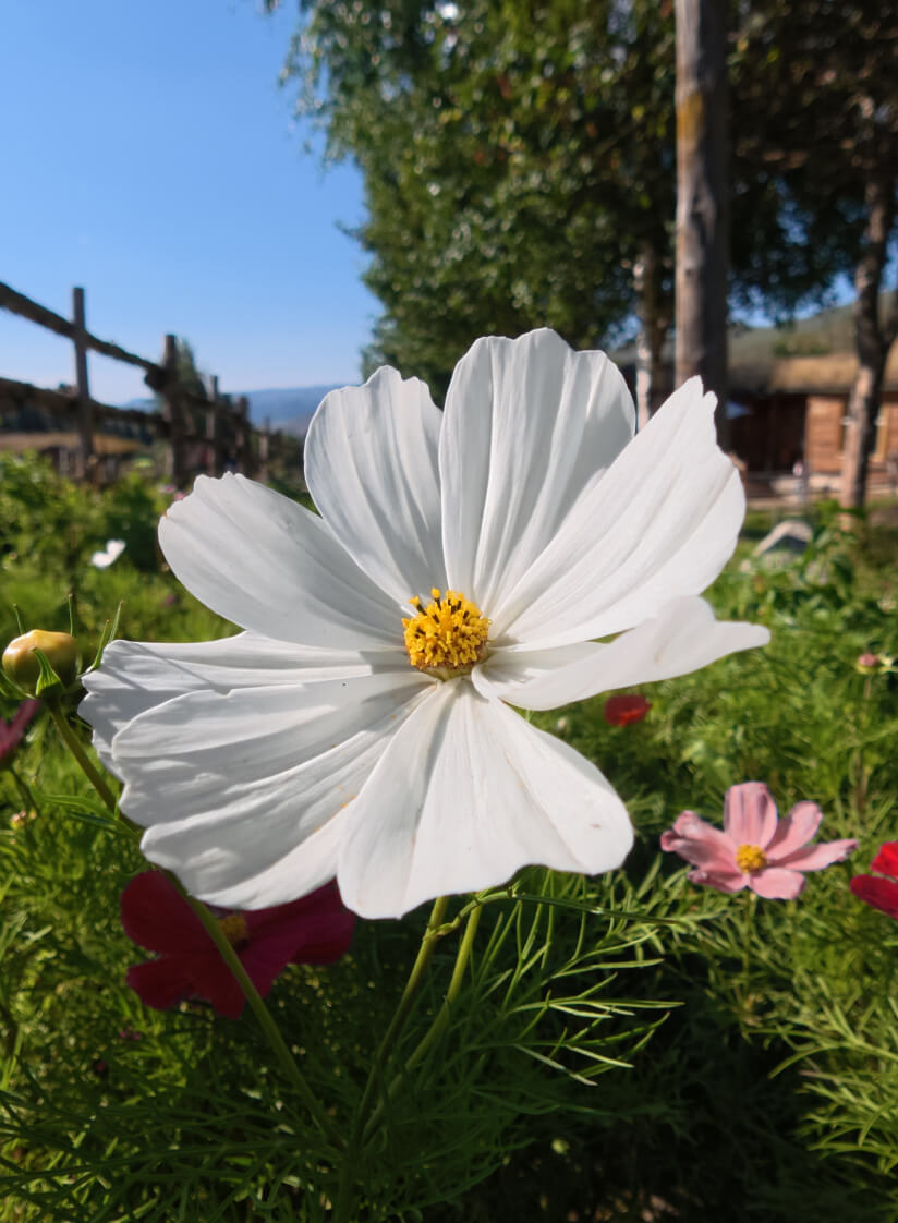 key::auto.www.handheld.activity.vlogging.section-572660.6bc58d