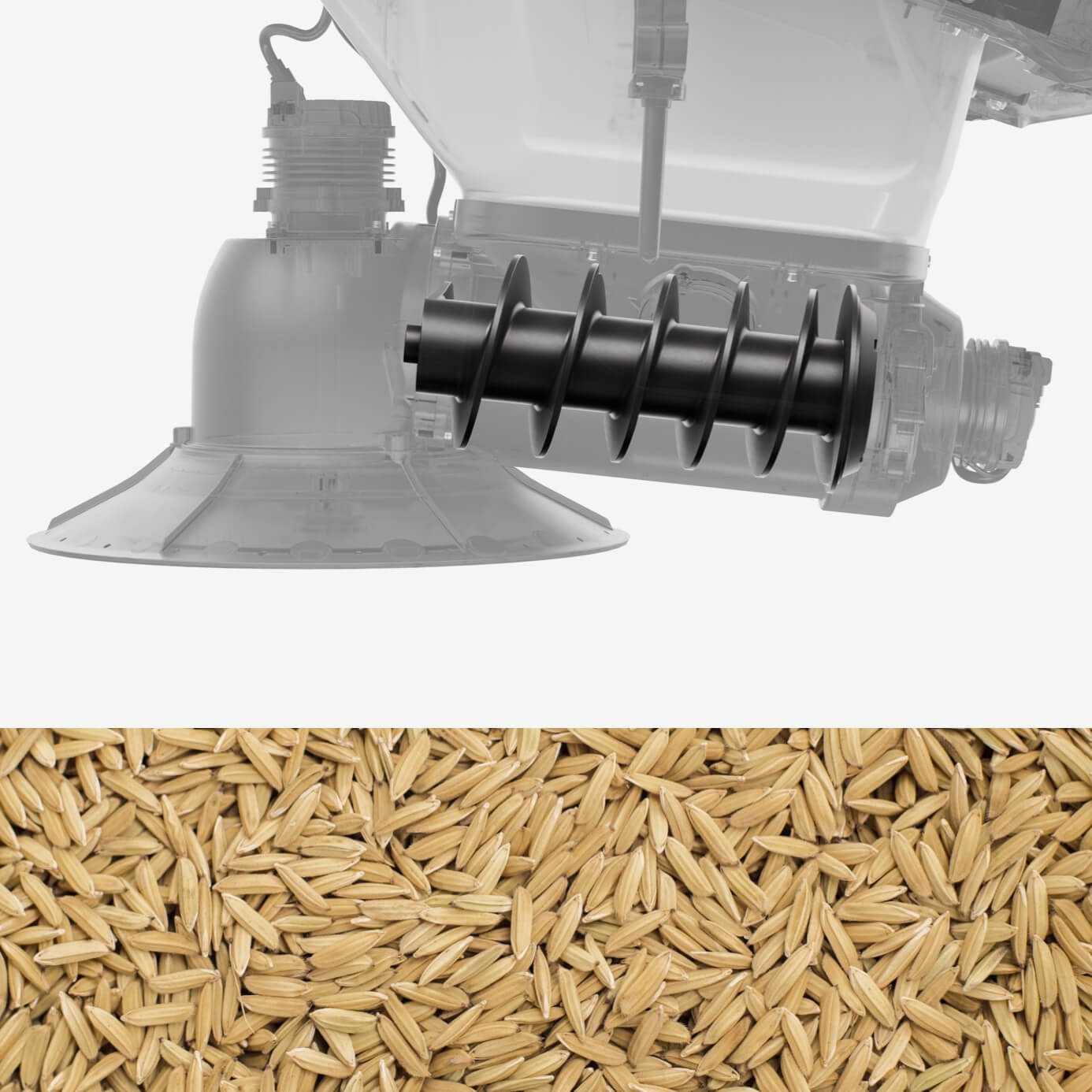Large Feeder