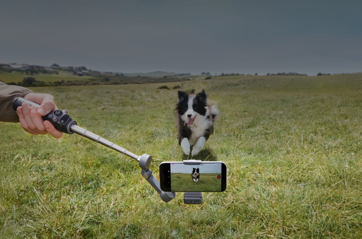 Phone using OM8 to film black and white dog running in grass