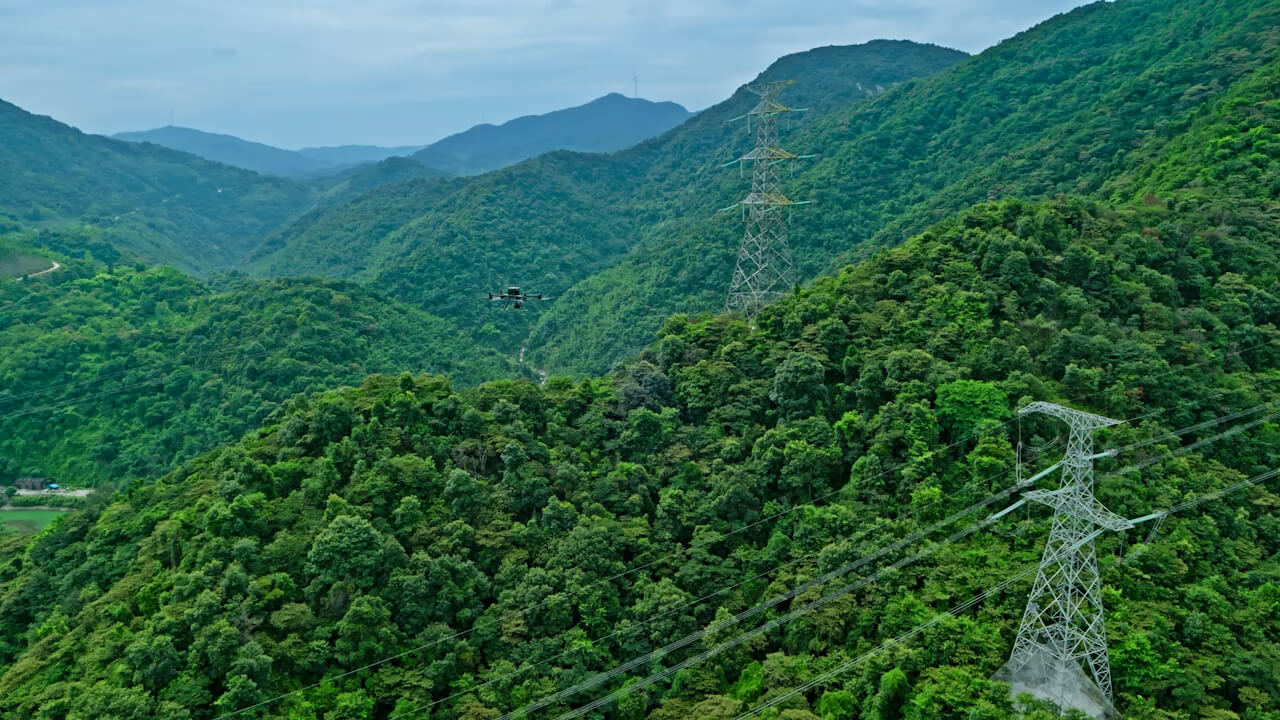 Nuvem de pontos de uma floresta densa