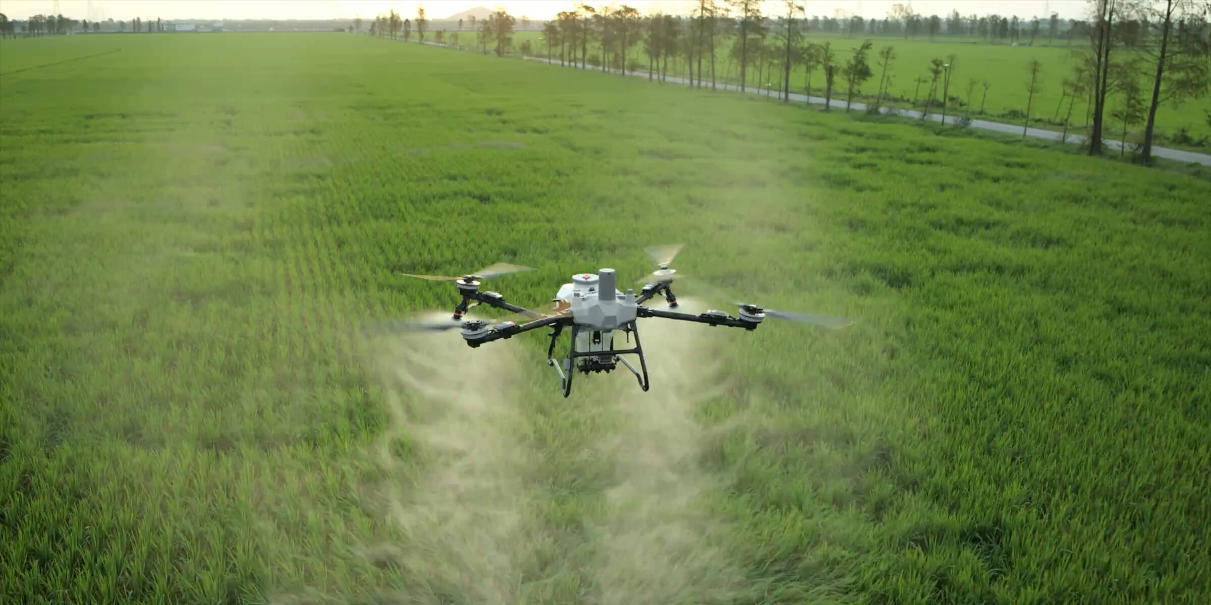 Pulverización de campo con DJI AGRAS T55