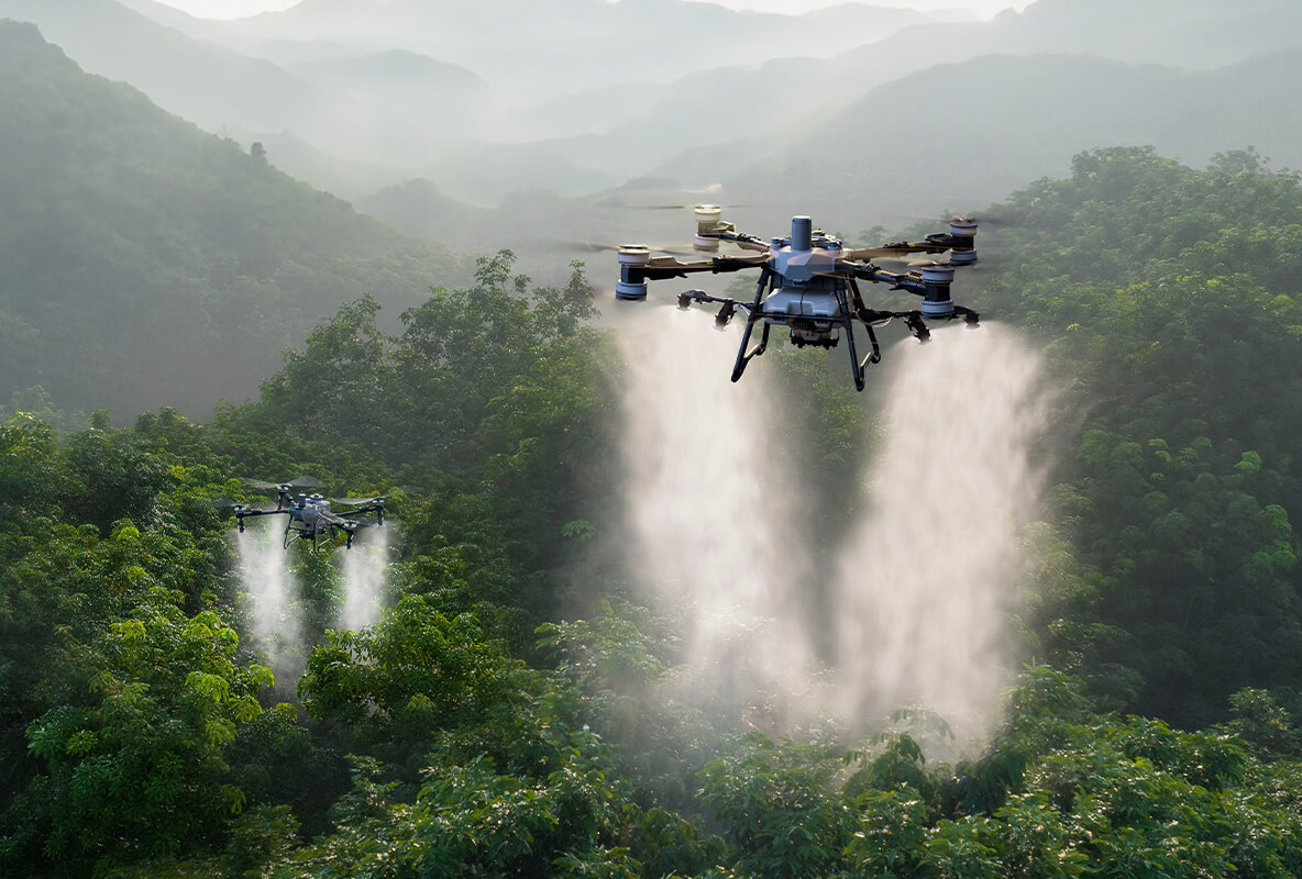Cultivos comerciales