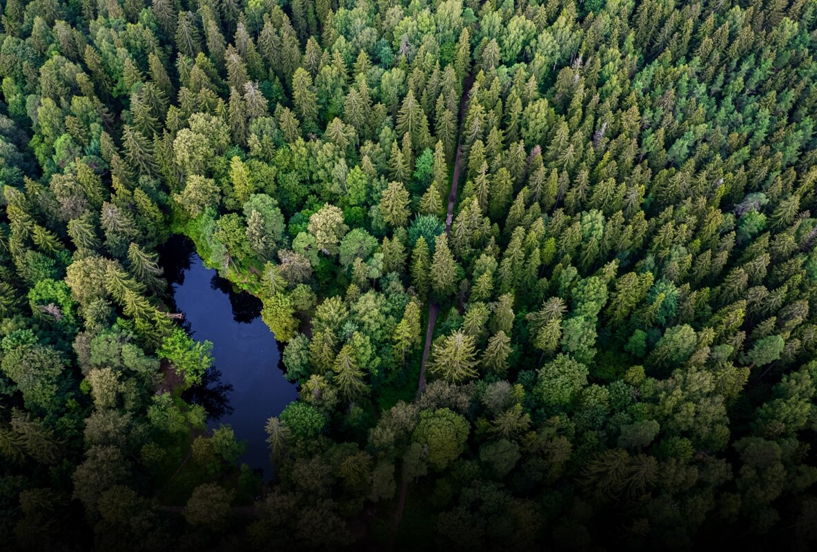 DJI Zenmuse L2 · Ormancılık