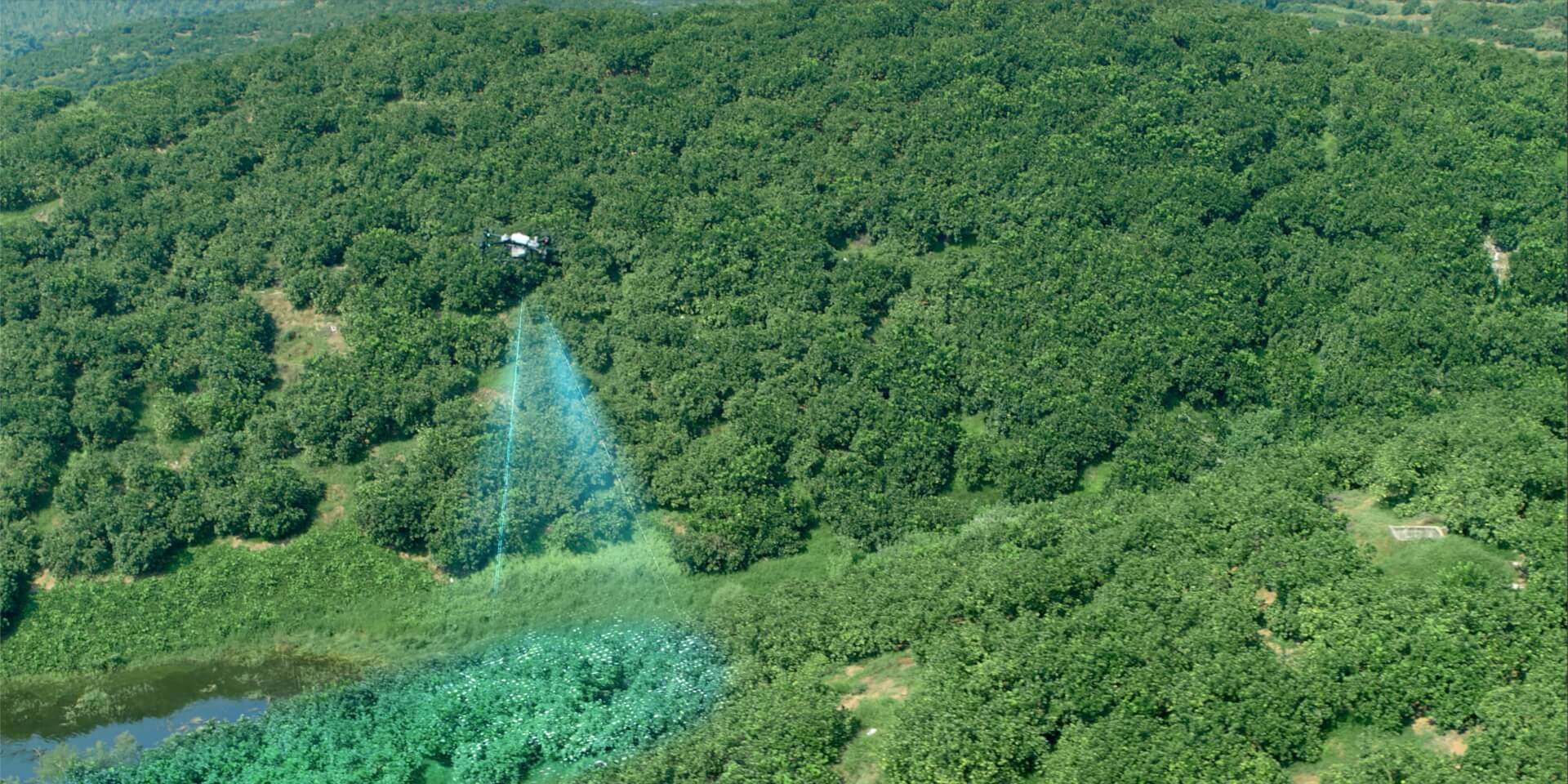 DJI AGRAS T40 · Meyve bahçeleri