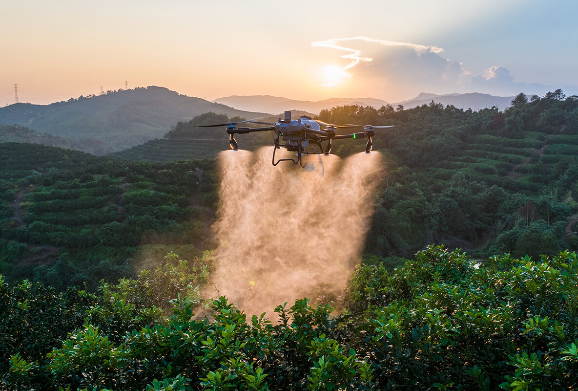 经济作物解决方案