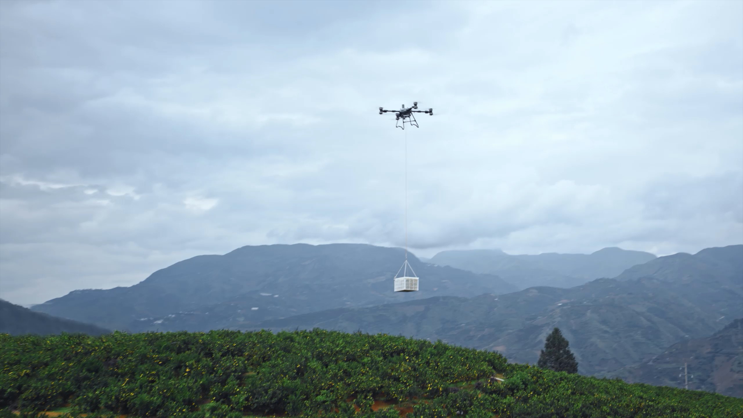 DJI AGRAS T100 · Tarımsal yük taşıma