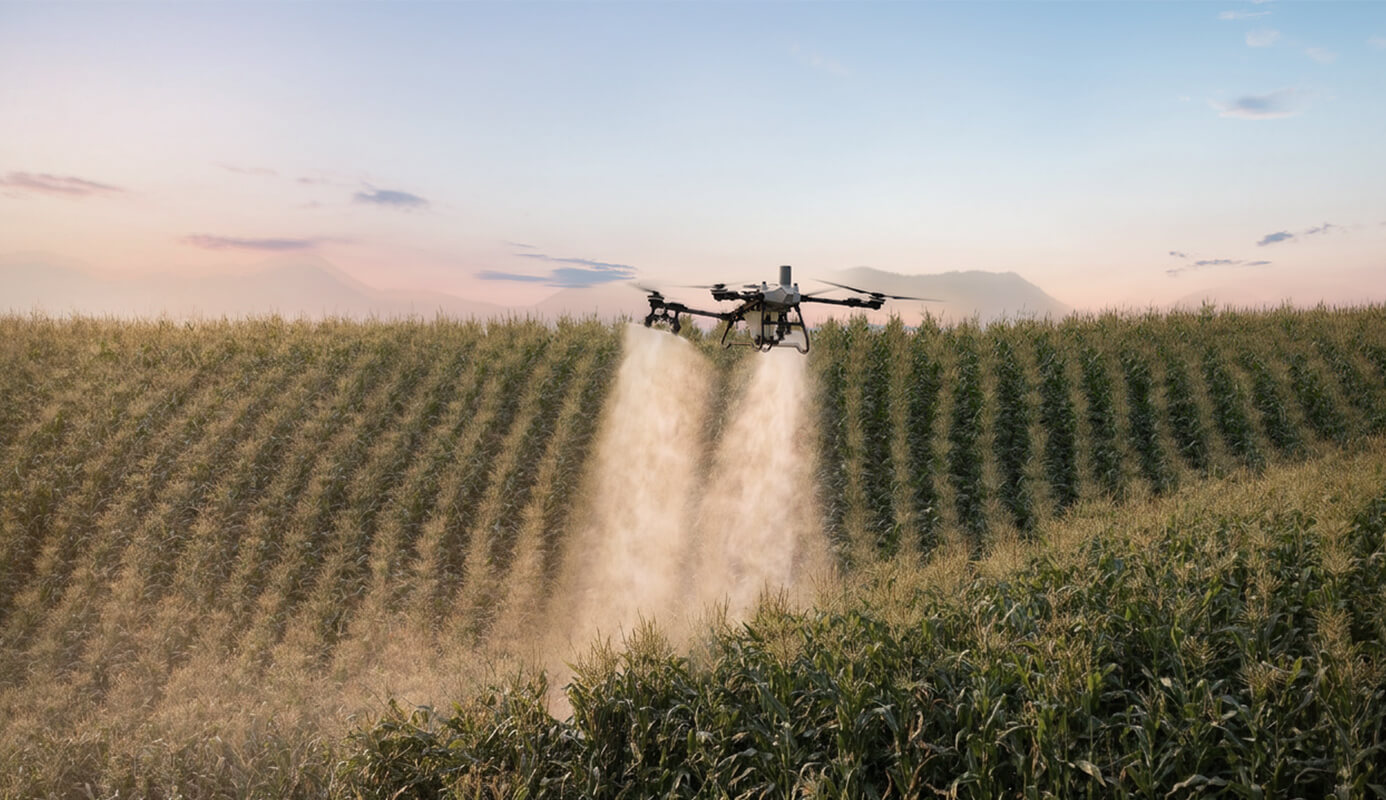 DJI AGRAS T55 aplicando en campo