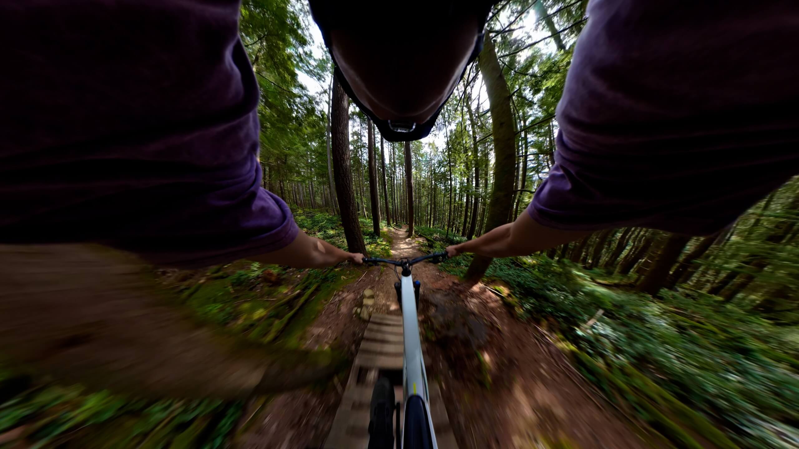 Reframed mountain biking view from DJI Osmo 360 II footage in a forest